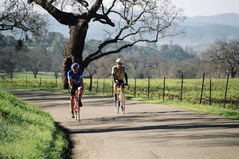 Santa Barbara Wine Country Getaway