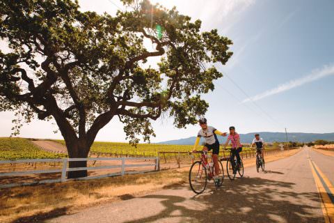 Wine Country E-Bike Tour
