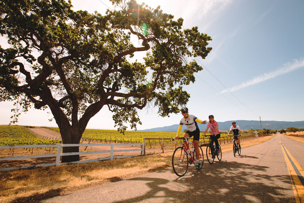 Wine Country E-Bike Tour