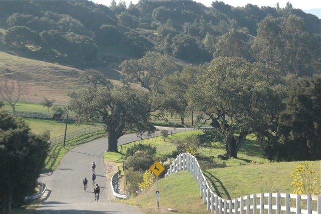 Ballard Canyon Tour