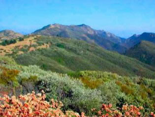 Figueroa Mountain Hike
