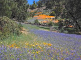 Daily Hiking Tours
