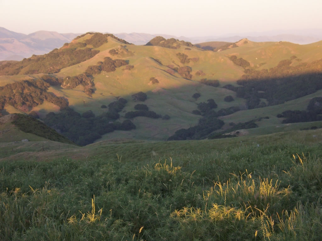 Snyder Trail Hike