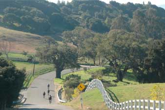 Solvang Weekday Getaway