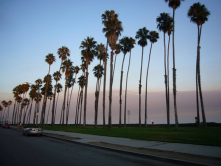 Santa Barbara Coastline
