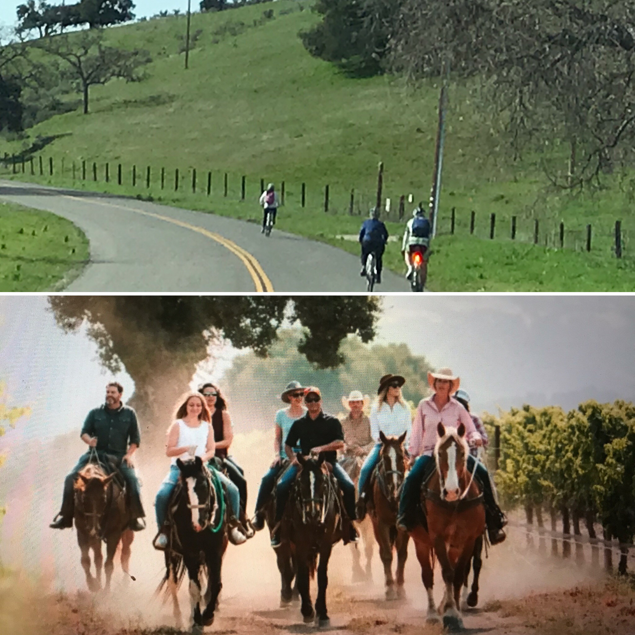 Blazing Saddles - Bike & Horseback Tour