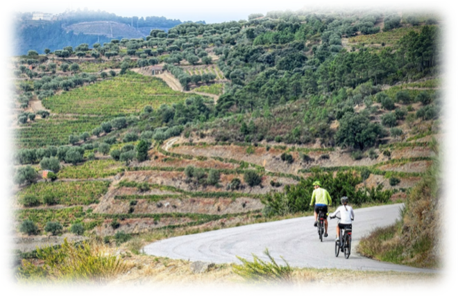 Douro Valley Portugal
