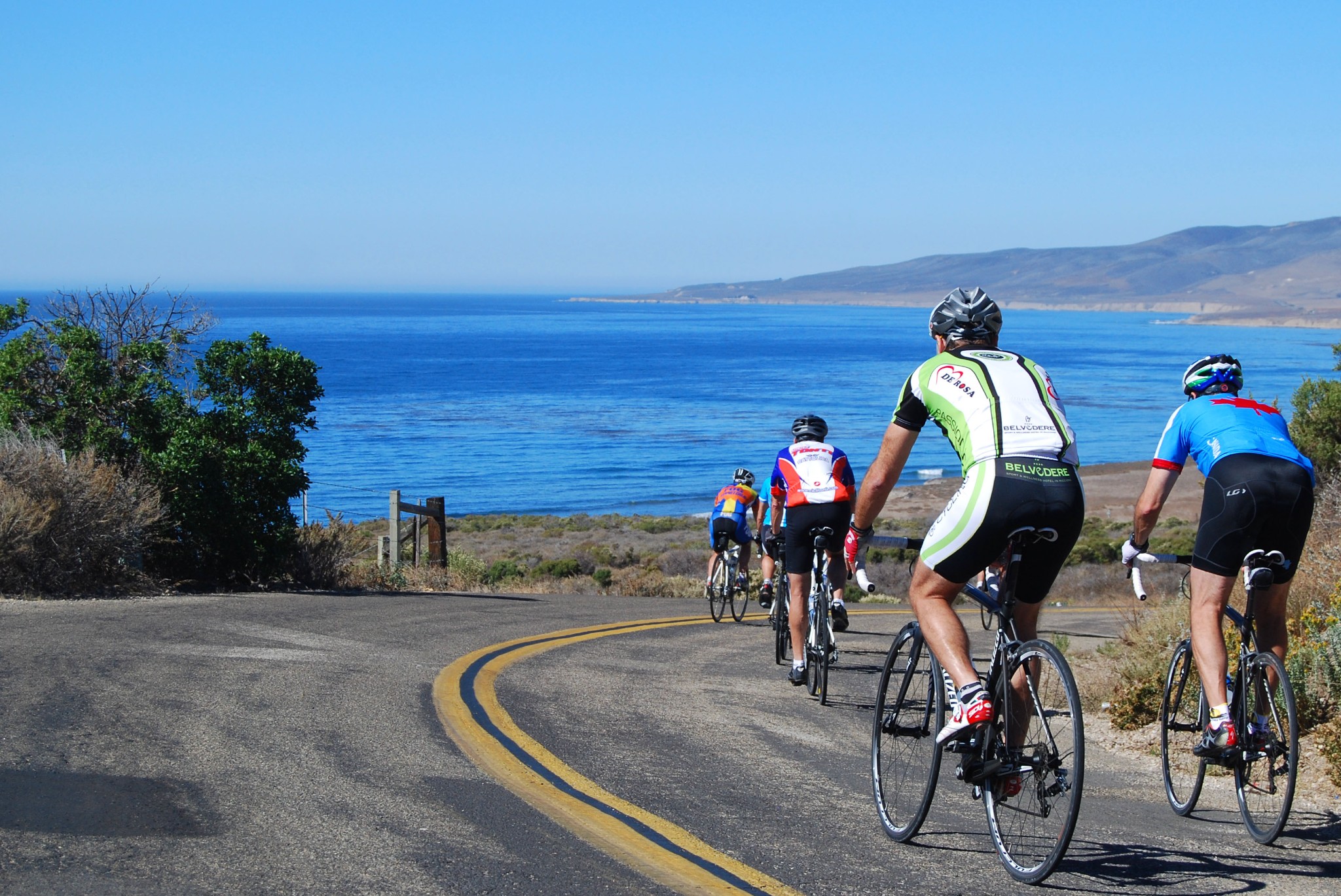 Bike rental fleet