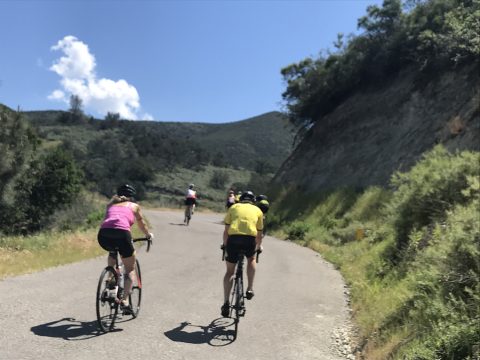 Terroir and Tarmac Solvang Cycling